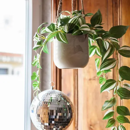 Апартаменты Flh Campo Ourique Afro-bohemian Retreat Лиссабон